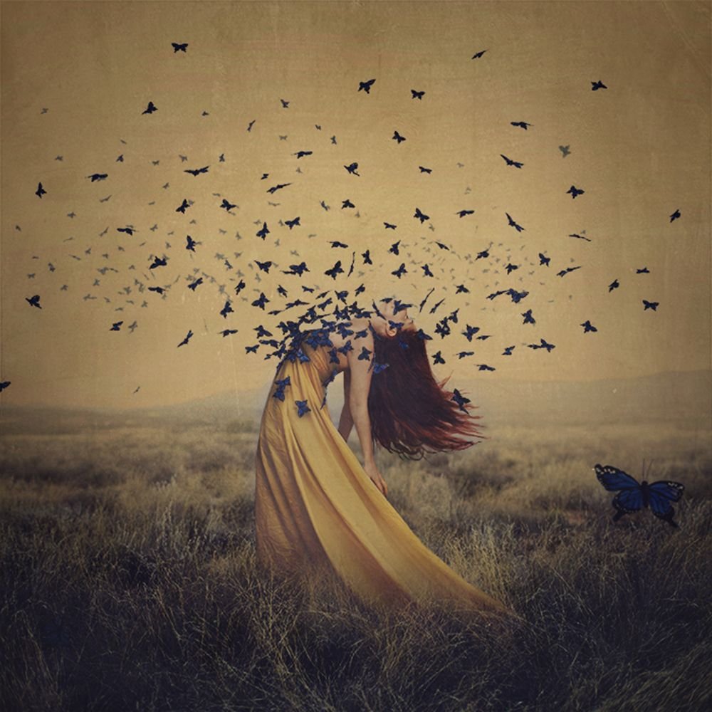 В птицу превратиться и улететь. Девушка-бабочка. Девушка выпускает птицу. Птицы из души. Фотосессия с бабочками.
