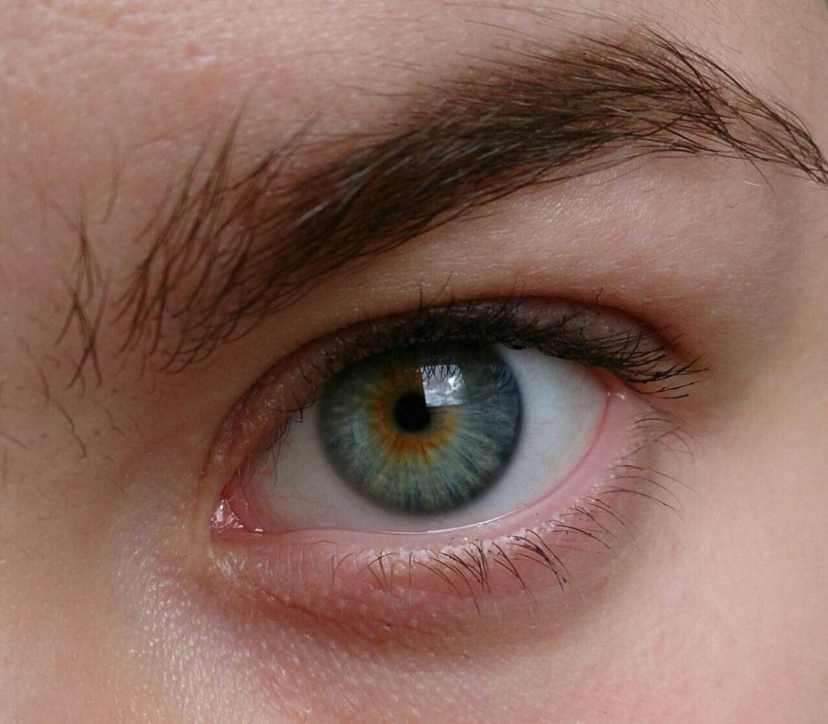 Коричнево зеленые глаза