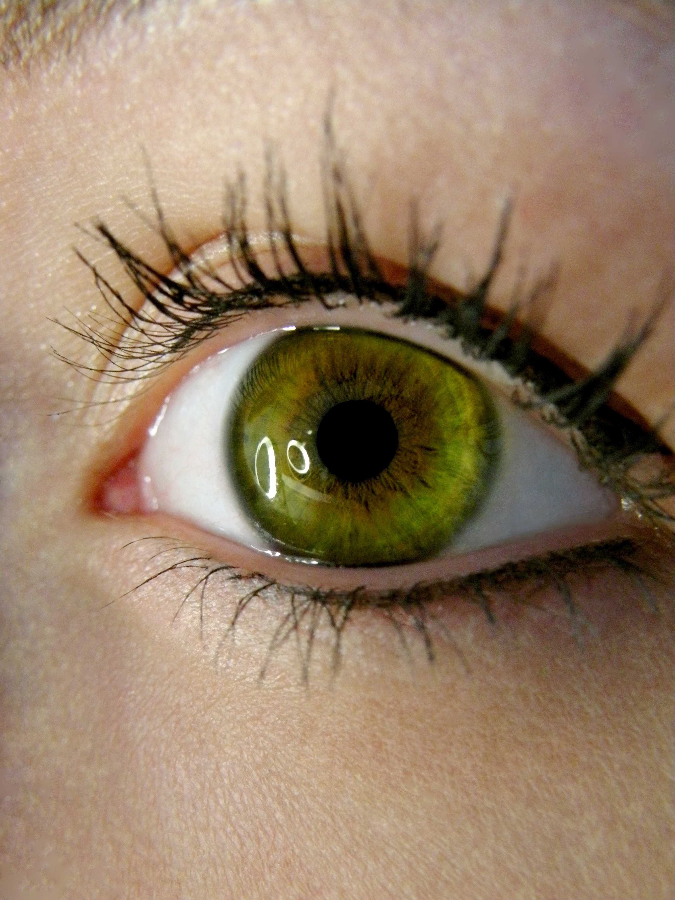 He got green eyes. Болотный цвет глаз гетерохромия. Центральная гетерохромия зеленый Карий. Центральная гетерохромия карих глаз. Серо-каре-зеленые глаза.