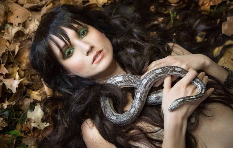 Lilit snake модель