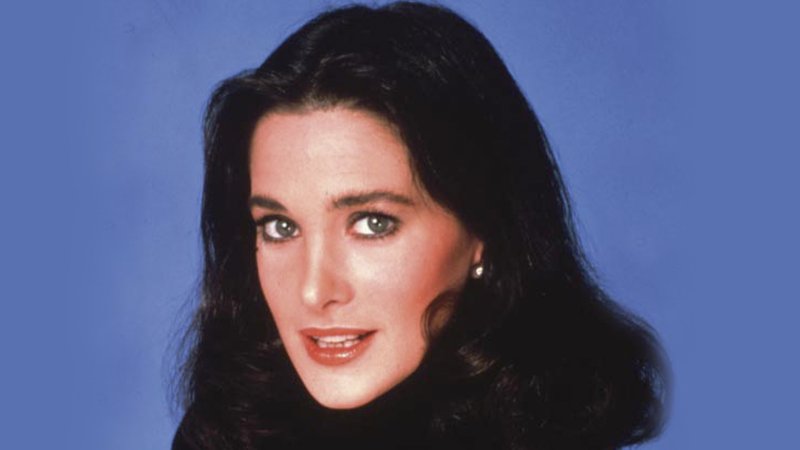 Connie sellecca