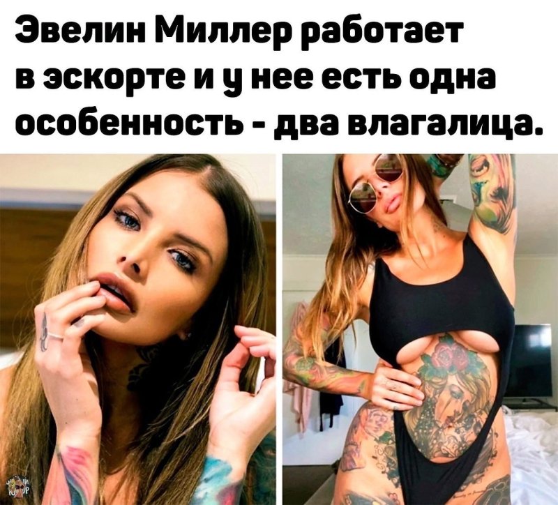 Эвелин миллер