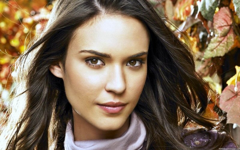 Odette annable