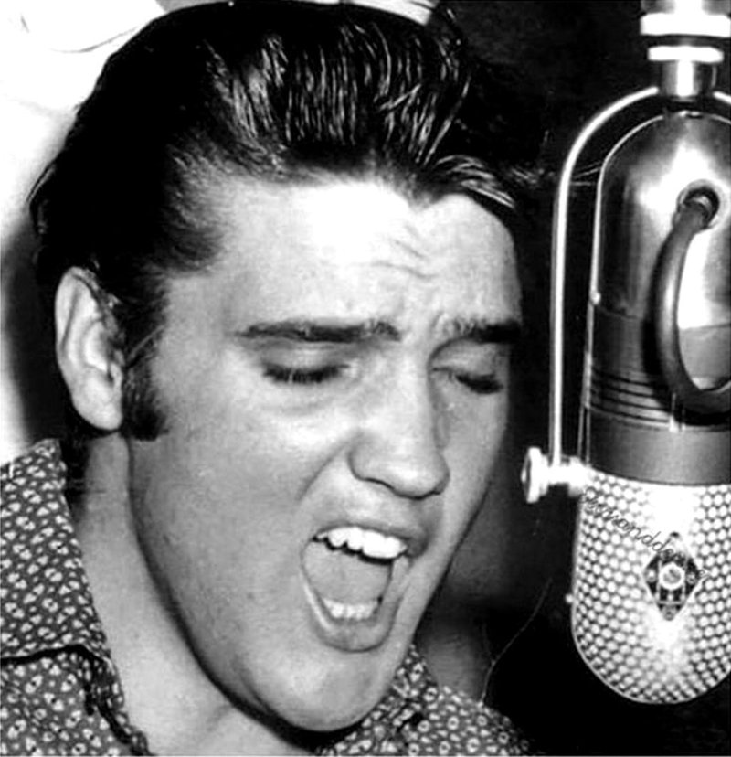 Elvis elvis presley