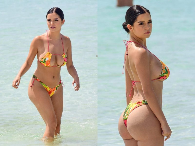 Demi rose