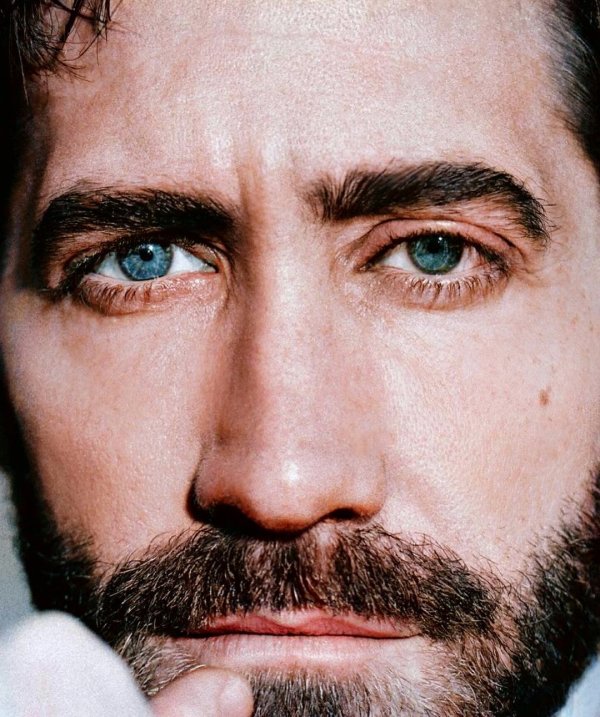 Фото: Jake gyllenhaal