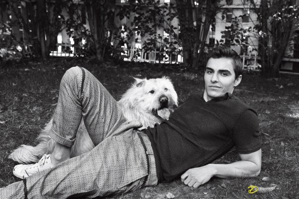 Фото: Dave franco