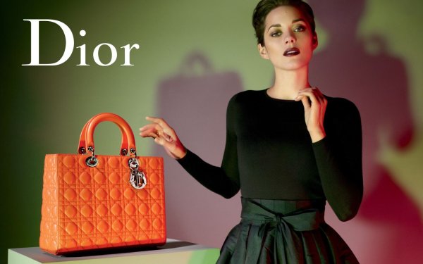 Фото: Lady dior