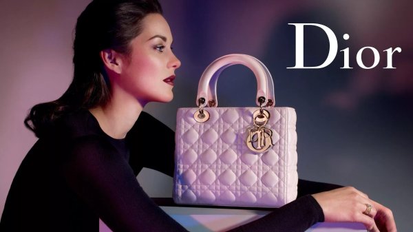 Фото: Марион котийяр lady dior