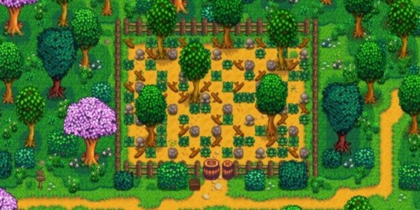 Фото: Виноградник аврора stardew valley expanded