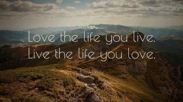 Фото: Live the life you love