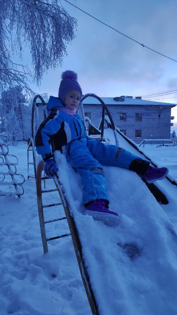 Фото: Береза повислая зимой