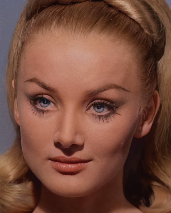 Фото: Star trek barbara bouchet