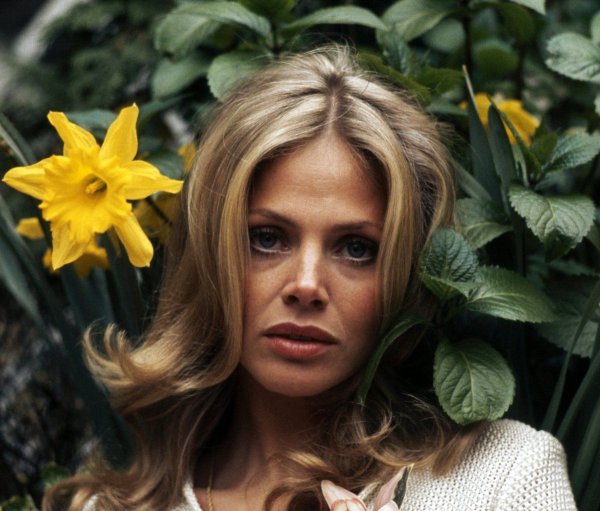 Фото: Britt ekland