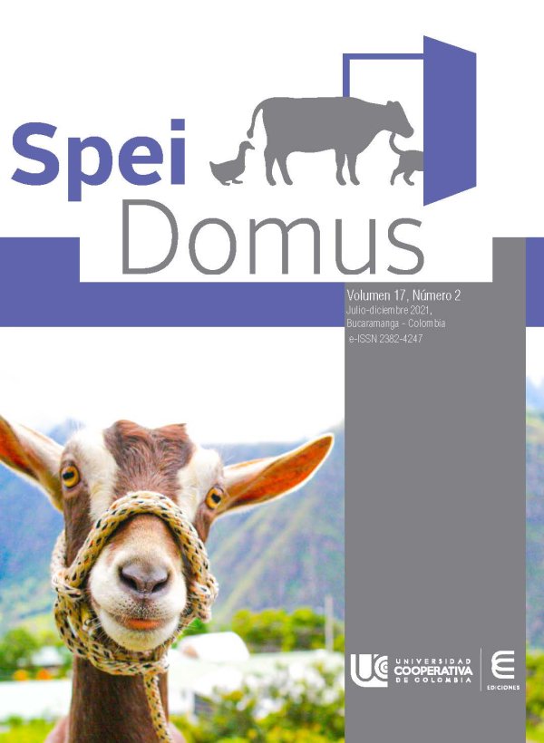 Фото: Spei domus