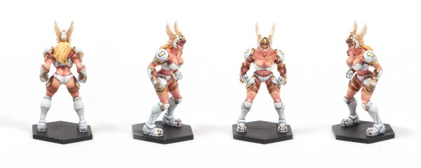 Фото: Blood bowl miniatures