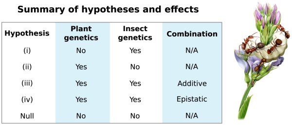 Фото: Plant genetics