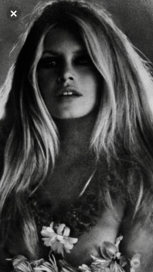 Фото: Bridget bardot