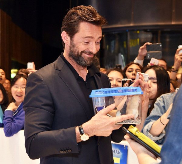 Фото: Wolverine hugh jackman