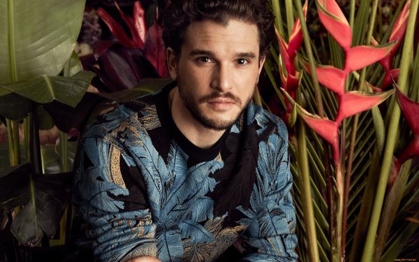 Фото: Kit harington