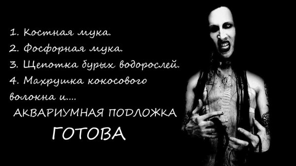 Фото: Группа marilyn manson