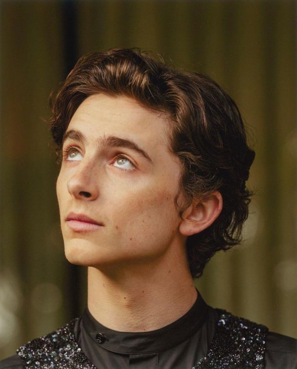 Фото: Timothee chalamet