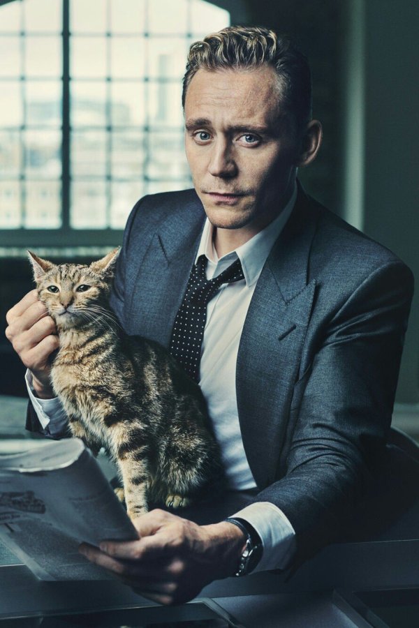 Фото: Tom hiddleston loki